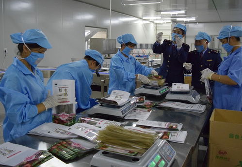 安全質檢丨以法律為基石，筑牢質量安全防線